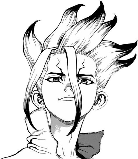 Senku Ishigami, Image Spiderman, Manga Tattoo, Anime Lineart, Anime Canvas Art, Nft Collection, Dr Stone, Loving Family, Manga Icons