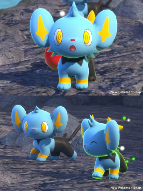 #pokemon #pokemonsnap #shinx Shinx Pokemon Art, Luxio Pokemon, Shinx Art, Pokemon Shinx, Luxray Pokemon, Best Fireworks, Pokemon Eevee Evolutions, Pokemon Starters, Eevee Evolutions