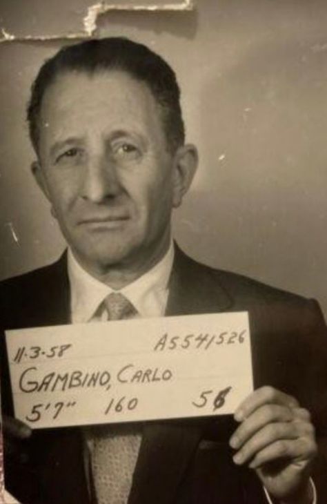 Italian Mobster Aesthetic, Italian Mobsters, Carlo Gambino, Real Gangster, Gangster Quotes, Mafia Gangster, Don Carlos, 1920s Party