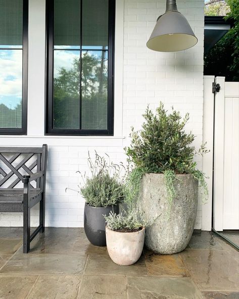 Organic Modern Front Porch, Front Door Potted Plants, Front Door Plants Pots Entrance, Front Planters, Modern Front Porch Decor, Front Porch Landscape, Front Door Plants, Front Door Planters, Front Porch Plants