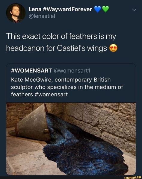 Kate Mccgwire, Castiel Wings, Film Memes, John Winchester, Supernatural Destiel, Supernatural Memes, Blue Wings, Supernatural Funny, Odaiba