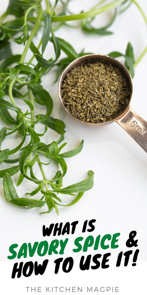 What is Savory Spice? - The Kitchen Magpie Savory Spice, Summer Savory, Rosemary Sage, Herb Jar, Winter Dishes, Savory Herb, Mint Plants, Herb Recipes, Herbs De Provence