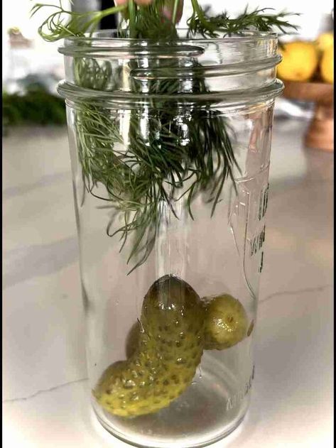 Dill Pickle Vodka Pickle Infused Vodka, Dill Pickle Brine, Egg Salad With Dill, Dill Pickle Vodka, Pickle Brine, Pickle Vodka, Dill Pickle Dip, Easy Spring Recipes, Coconut Icing