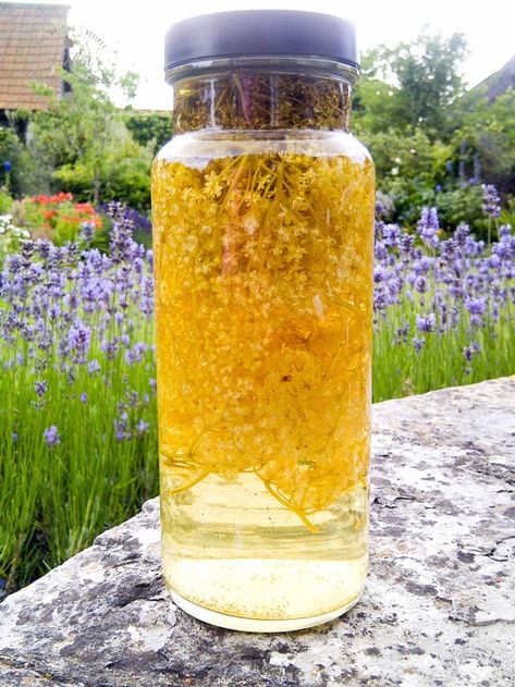 Elderflower Recipes, Flavoured Vodka, Infused Liquors, Elderberry Recipes, Homemade Alcohol, Homemade Liquor, Liquor Recipes, Foraging Recipes, Homebrew Recipes