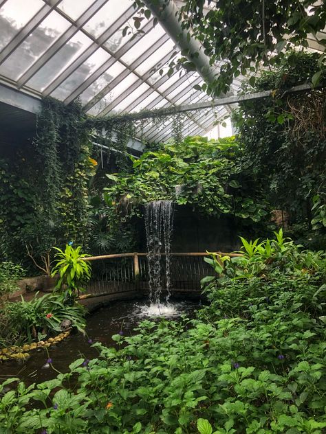 Cambridge Butterfly Conservatory, Ontario Indoor Pool Garden, Tropical Plant Greenhouse, Greenhouse Botanical Garden, Tropical Greenhouse Design, Tropical Indoor Garden, Conservatory Pool, Indoor Botanical Garden, Room Ideas Diy, Butterfly Conservatory