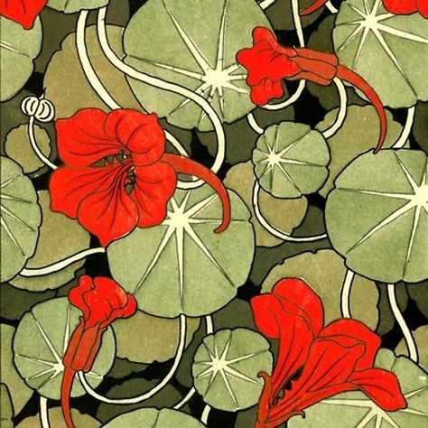 Nasturtium Flower Art, Nasturtium Art Nouveau, Art Nouveau Nasturtium, Red Art Nouveau, Nasturtium Flower Drawing, Red Green Illustration, Art Nouveau Plants, Nasturtium Painting, Nasturtium Art