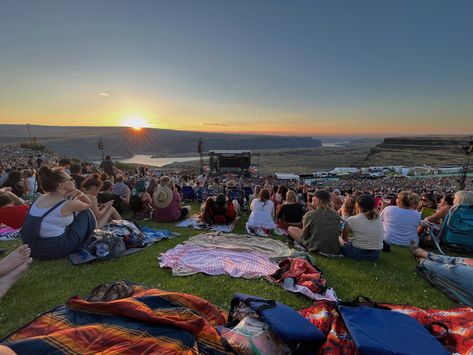 Outside Lands Aesthetic, Outdoor Concert Aesthetic, Indie Concert Aesthetic, Summer Concert Aesthetic, Lawn Concert, Sublime Concert, Country Concert Aesthetic, Concert Outdoor, Music Festival Aesthetic