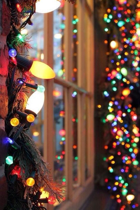 LED Technology in Traditional Colored Bulbs #christmas Christmas Lights, Christmas Tree, Christmas