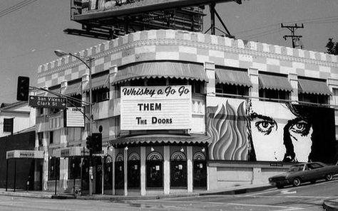 The Doors at the Whisky a Go Go #thedoors #jimmorrison #thedoorswhiskyagogo Groupie Fashion, Jim Morrison Quotes, Weetzie Bat, Go Go Dancing, Whiskey A Go Go, Johnny Rivers, Whisky A Go Go, The Sunset Strip, 55th Anniversary