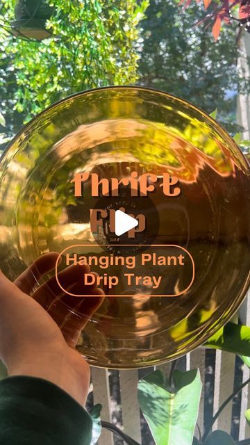 Diy Plate Hanger, Plant Storage, Succulent Ideas, Plant Styling, Words Of Advice, Indoor Balcony, Dip Tray, Plant Saucer, Thrift Flips