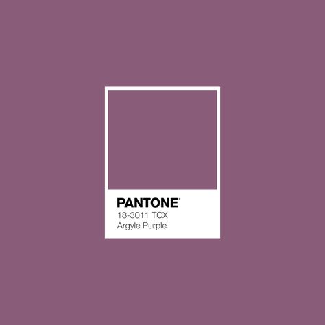 2,625 Pantone Colors. Endless possibilities. Explore FHI Cotton TCX in 1 click for FREE! · PANTONE 18-3011 TCX Argyle Purple Color · #Pantone #Color #ColorShades #TrendingGallery · @pantonecolor · Kid’s Pattern Vino Color, Color Pantone, Pantone Colour Palettes, Pantone Colors, Colour Board, Color Swatch, Wine Colored, Colour Schemes, Pantone Color