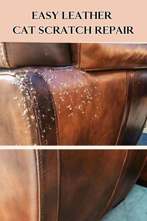 Easily and quickly repair cat scratches on your leather sofa or or other furniture! Repair cat scratched leather in minutes using this method. This will only work wit GENUINE leather. Will not work on bonded or vinyl leather. Make sure to test an inconspicuous area first to make sure it will not burn the material. If it is real leather, it will hold up great! Please comment with any questions :) AND AS ALWAYS, PLEASE SUBSCRIBE! Leather Couch Repair, Leather Furniture Repair, Suede Couch, Couch Repair, Diy Leather Repair, Leather Restoration, Diy Accent Wall, Furniture Scratches, Cat Scratch