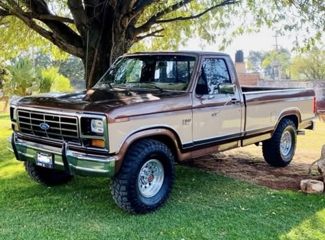 96 Ford F150, 1985 Ford F150, 1978 Ford F150, Pickup Trucks Camping, Single Cab Trucks, Pickup Camper, Future Trucks, Vintage Pickup, Ford F150 Pickup