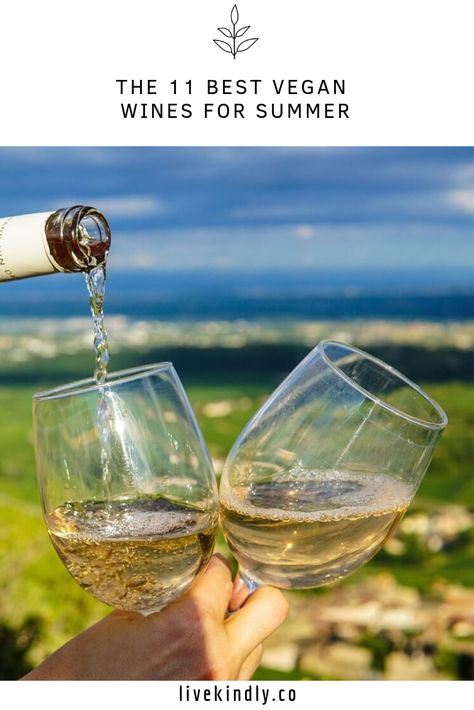 The 11 Best Vegan Wines for Summer... #vegan #vegannews #plantbased #livekindly #wine #veganwine Benefits Of Wine, Beer Calories, Wine Benefits, Pretty Wine, Plant Based Cheese, Wine Images, Vegan Wine, Dry Wine, Spanish Wine