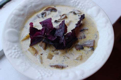 Dulse and Mushroom soup Dulse Recipes, Black Truffle Oil, Picky Eaters Kids, Cream Of Mushroom Soup, Cream Of Mushroom, Truffle Oil, Black Truffle, Creamy Soup, Sliced Mushrooms