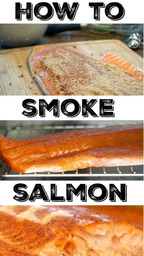 How to smoke salmon at home! The best rub for fish you will ever make that brings out the flavor and makes it melt in your mouth good. Easy recipe for those who have never smoked fish or looking for something new. Healthy and delicious dinner idea. #salmon #fish #smoke #smoker #smokedsalmon #thetypicalmom #smokedfish Smoked Salmon Rub Recipe, Salmon Smoker, Smoked Fish Recipe, Smoked Baked Potatoes, Smoked Salmon Recipe, Best Smoked Salmon, Smoked Vegetables, Salmon Marinade, Smoked Recipes