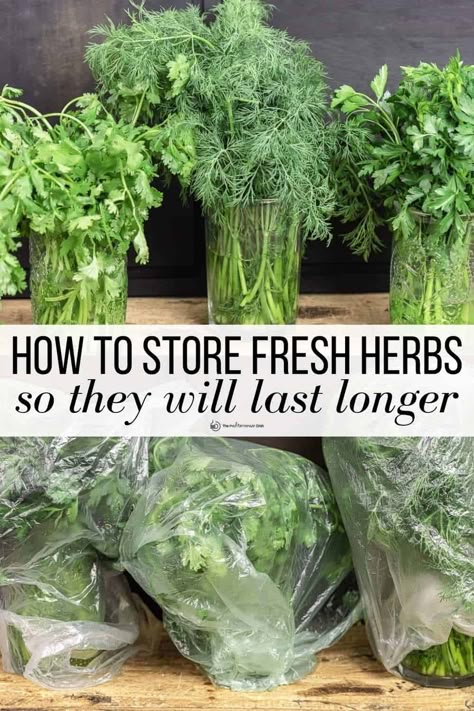 Wondering how to store herbs so they last longer? This guide gives you 2 easy foolproof ways to keep your herbs fresh + tips to keep herbs fresh for 2 weeks or even longer! Keep Herbs Fresh, Storing Basil, Preserve Fresh Herbs, Store Fresh Herbs, Drying Fresh Herbs, Freezing Herbs, Herb Storage, Preserving Herbs, Harvesting Herbs