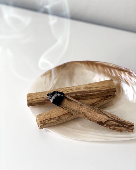 Palo Santo Photography, Paulo Santo Smudging, Smudging Aesthetic, Aromatic Aesthetic, Palo Santo Aesthetic, Smell Aesthetic, Palo Santo Smudging, Harper Wilde, Energy Aesthetic