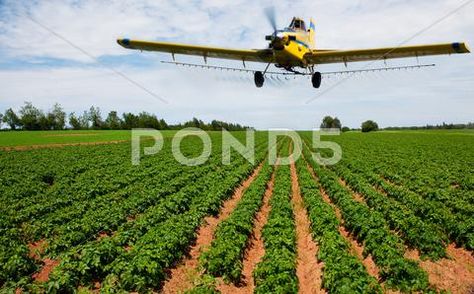 Crop dusting Stock Photos #AD ,#dusting#Crop#Photos#Stock Food Not Lawns, Crop Duster, Tar Sands, Protect The Earth, Green Peace, Earth Green, Unmanned Aerial Vehicle, Remote Sensing, A Potato