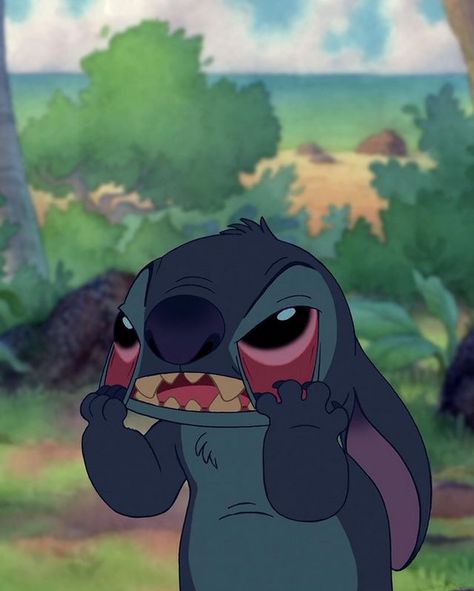 When you try to explain something and nobody gets it. Disney Mignon, Images Disney, Lilo Y Stitch, Cute Stitch, Disney Life, Clipuri Video, Disney Lilo, Disney Stitch, Disney Films