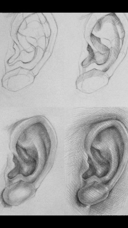 How To Draw Ears, Eye Drawing Tutorials, 얼굴 그리기, Anatomy Sketches, Drawing For Beginners, Anatomy Drawing, Pencil Art Drawings, Anatomy Art, Realistic Drawings