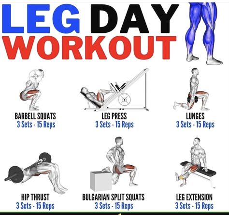 Leg Press Workout, Leg Day Workout, Gym Workout Guide, Best Leg Workout, Barbell Squat, Barbell Workout, Gym Workout Chart, Leg Training, Gym Workouts For Men