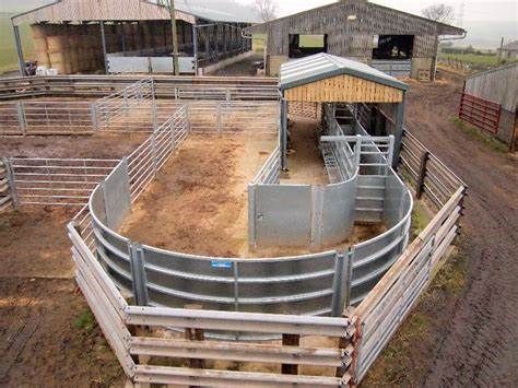 images.search.yahoo.com images Corral Ideas, Cattle Pens, Cattle Facility, Cattle Corrals, Cow Pen, Pen Designs, Livestock Barn, Cattle Barn, Goat Barn