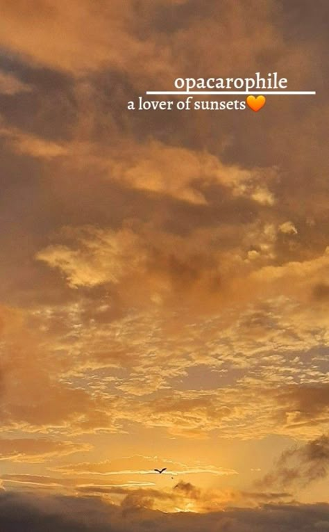 #sunset #opacarophile #aesthetics #aestheticedits #skyaesthetics Sun Rise Aesthetic Quotes, Opacarophile Tattoo, Opacarophile Quotes, Opacarophile Aesthetic, Sun Rise Captions, Sunset Meaning, Sunset Aesthetic Quotes, Sunset Aesthetic Instagram Story, Instagram Captions Happy