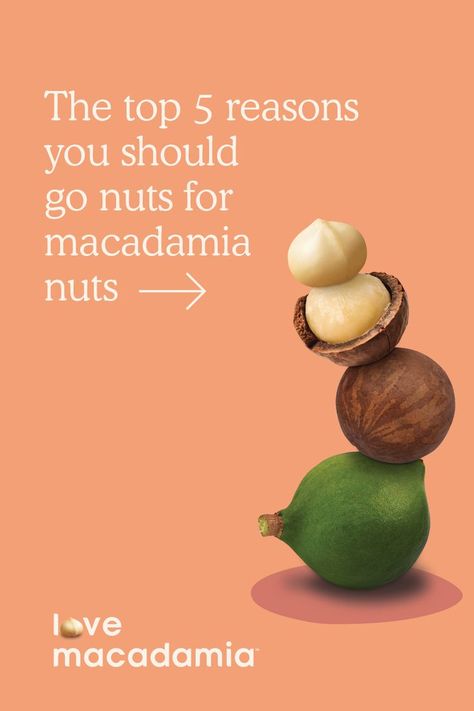 A stack of Macadamia nuts from husk to shell, to a cracked nut ready to eat. Love macadamia. Macadamia Nut Benefits, Wedding Ceramics, Nut Benefits, Macadamia Nut, Nuts And Seeds, Mct Oil, Macadamia Nuts, Creamy Texture, Good Fats