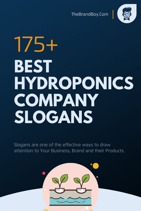 189+ Best Hydroponics Company slogans & Taglines Agriculture Slogans, Grow Tent, Company Slogans, Doll Costume, Growing Plants, Hydroponics, Agriculture, Marketing