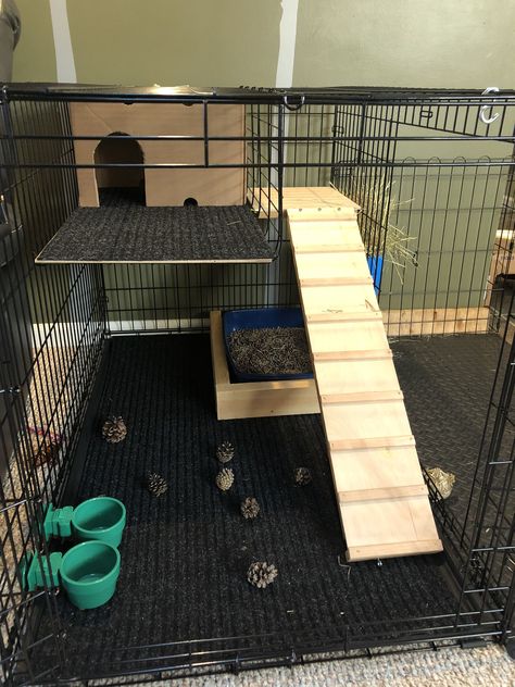 Dog Cage Rabbit House, Rabbit Dog Cage Ideas, Dog Crate Rabbit Cage Diy, Rabbit Cage Decoration Ideas, Dog Cage For Rabbit, Dog Kennel Rabbit Cage, Rabbit Mansion, Dog Crate Rabbit Cage, Rabbit Cage Setup