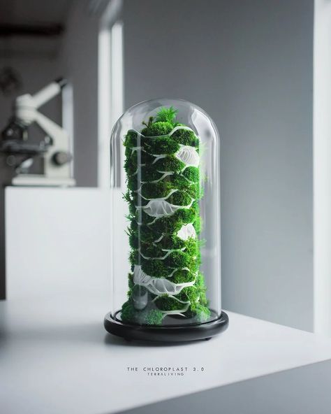 3d Printed Terrarium, Botanical Ceramics, Indoor Nature, Pot Tanaman, Indoor Oasis, Beautiful Terrariums, Diy Aquarium, Organic Structure, Indoor Greenhouse