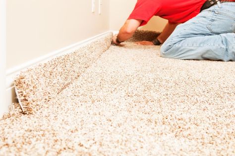 Mold growth may be easy to miss in your home. Removing mold growth from hard surfaces is typically easier than from carpeting, as you can use techniques like scrubbing it off. Unfortunately, removing mold growth from carpet is not as easy to manage. Carpet Steamer, Carpet Shampooer, Small Bathroom Renovations, How To Install Countertops, Mold Growth, Carpet Installation, Flooring Store, Waterproof Flooring, Durable Flooring