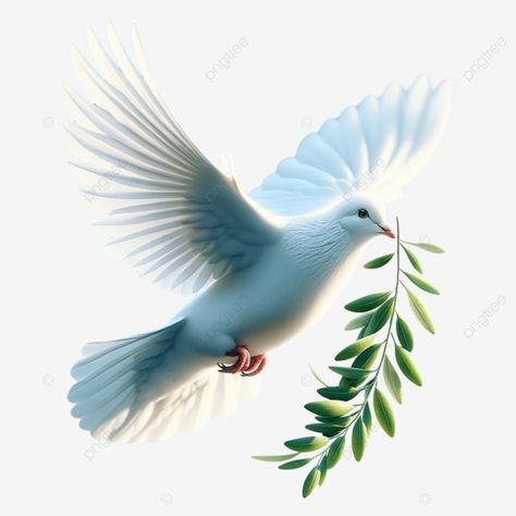 peace dove white dove olive branch illustration peace dove white dove olive branch png Olive Branch Illustration, Dove Olive Branch, Branch Illustration, Dove With Olive Branch, Dove Images, Jesus Cartoon, Church Backgrounds, Dove White, The Artist Prince