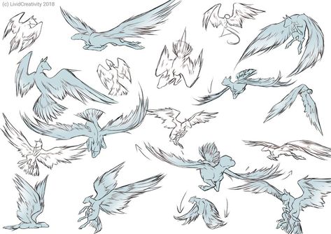 Pegasus Anatomy, Mlp Pegasus Base, Flying Poses Drawing, Wing Poses, Mlp Pegasus, Flying Poses, Pegasus Drawing, Pegasus Wings, Texture Sketch