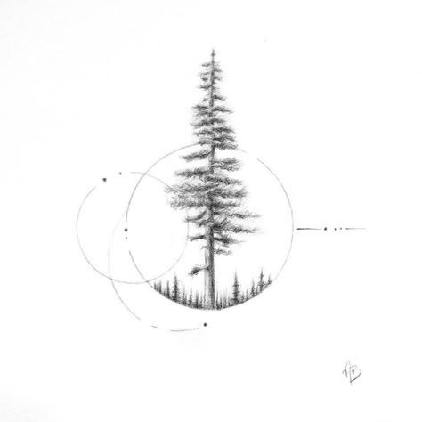 Ashley Benedict | Artist on Instagram: “I could draw trees all day long 🌲 • • Send me your nature inspiration (favorite trees, plants, flowers, landscapes, etc.) I may make it…” Sequoia Tree Tattoo, Tree Tatoos, Nature Inspired Tattoos, Geometric Tattoo Tree, Tree Tattoo Ideas, Nature Tattoo Ideas, Pine Tattoo, Draw Trees, Tree Tattoo Back