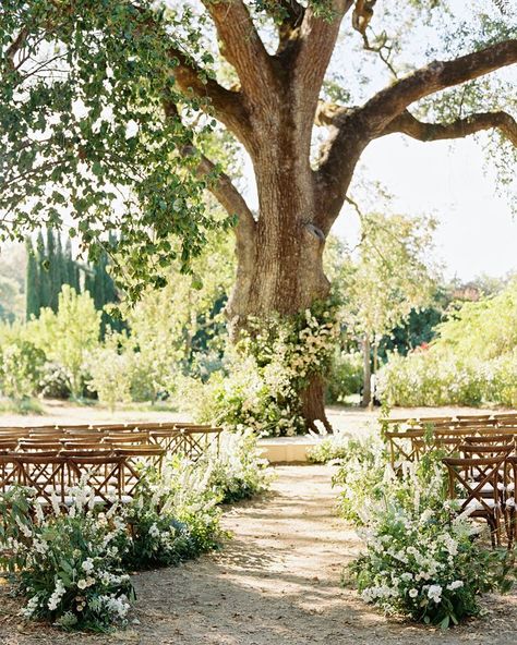 A wedding ceremony beneath a tree is always beautiful. Whether you're looking for small but impactful decorations or statement-making ideas that will take your tree backdrop to the next level, you'll find plenty of beautiful outdoor wedding inspiration here. Oak Tree Wedding Ceremony, Tree Wedding Ceremony, Oak Tree Wedding, Wedding Ceremony Ideas, Beautiful Outdoor Wedding, Garden Venue, Outdoor Wedding Inspiration, Grass Wedding, Ceremony Arch