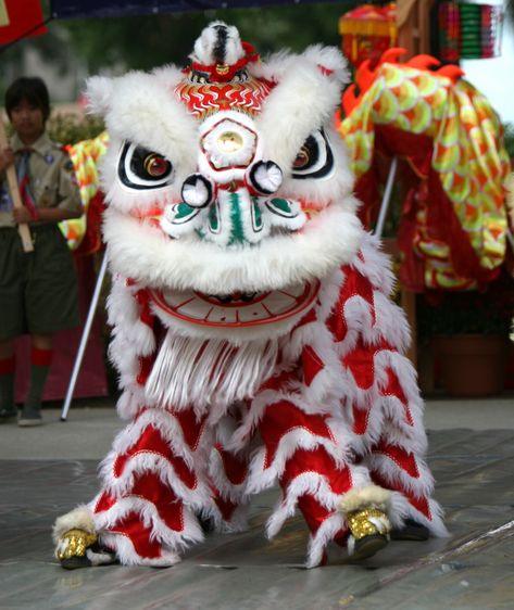 chinese lion dance  | Dances Chinese New Year Images, Indoor Fireworks, Chinese Lion Dance, Dragon Chino, Chinese New Year Dragon, Chinese Dance, Chinese Crafts, Chinese Calendar, Lion Costume