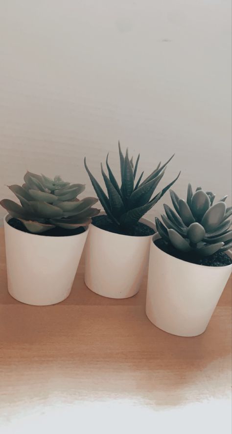 Tiny Fake Plants, Fake Small Plants, Green Fake Plants, Tiny Plants Aesthetic, Small Fake Plants Decor, Fake Plants Bathroom Decor, Room Ideas Fake Plants, Fake Plants Room Decor, Aesthetic Fake Plants Bedroom