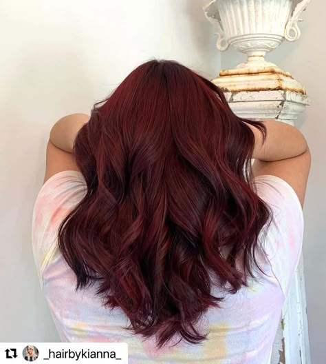 There is something gorgeous about dark red hair. This wine colored hair looks fantastic on anyone and is perfect for the summer and winter seasons. Th... Short Red Wine Hair, Black Hair To Red Hair Color, Dark Red Bayalage Hair, Red Wine Hair Color With Highlights, Dark Red Hair Color Aesthetic, Short Dark Red Hair Burgundy, Really Dark Red Hair, Cherry Wine Hair Color, Red Hair For Summer