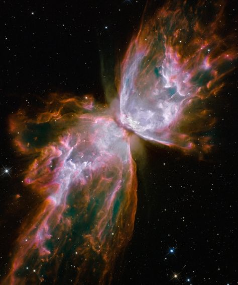 Butterfly Nebula, Telescope Pictures, Hubble Space, Hubble Space Telescope, Space Telescope, The Butterfly, Metal Poster Displate, Nasa, Stars