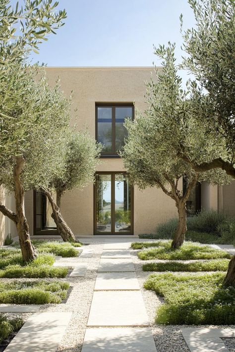 House Inner Courtyard, Mediterranean Home Modern, Courtyard Entrance Ideas, Modern Mediterranean Landscape, Olive Tree Backyard, French Modern House, Modern Courtyard Design, Adobe Exterior, Mediterranean Front Yard