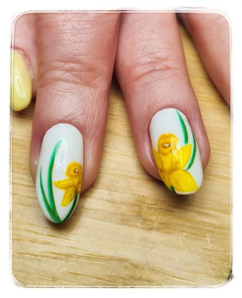 Daffodil Nails, Cute Nail Colors, Rainbow Hair Color, Toe Nail Designs, Rainbow Hair, Nails Nails, Daffodils, Toe Nails, Spring Nails