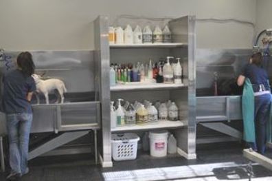 Dog Boarding Facility, Pet Grooming Business, Dog Grooming Tubs, Boarding Facility, Grooming Ideas, Pet Grooming Salon, Grooming Business, Dog Grooming Shop, Dog Spa