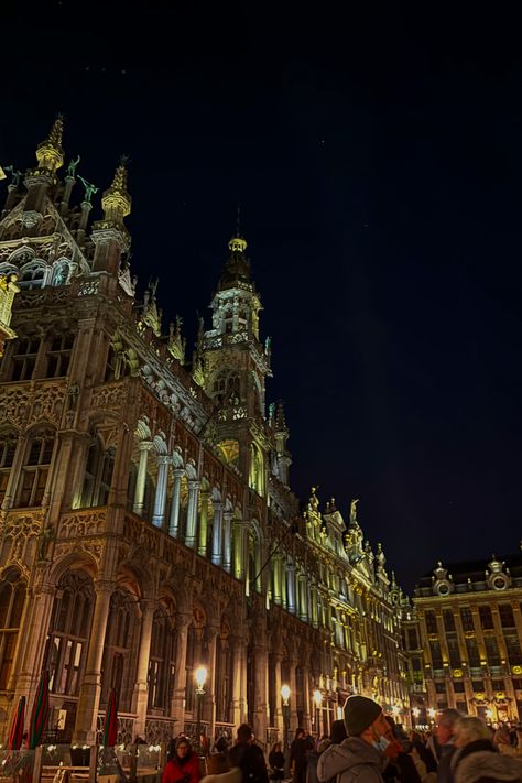 Belgium Architecture, Brussels Christmas Aesthetic, Brussels At Christmas, Belgium Aesthetic, Brussels Belgium Christmas, Brussels Belgium Aesthetic Winter, Grand Palace Brussels, Brussels Christmas, Brussels