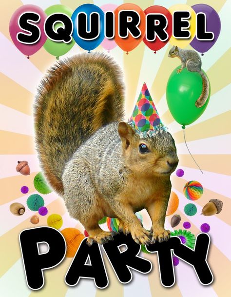 Squirrel Fursona, Squirrel Party, Squirrel Memes, Silly Animal Pictures, Squirrel Pictures, Squirrel Funny, A Squirrel, Silly Images, Funny Happy