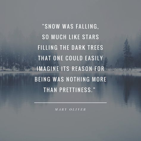 Last Quotes, Winter Poetry, Letterboard Ideas, Snow Quotes, Dark Trees, Winter Poems, Storm Quotes, Colorado Girl, Season Quotes