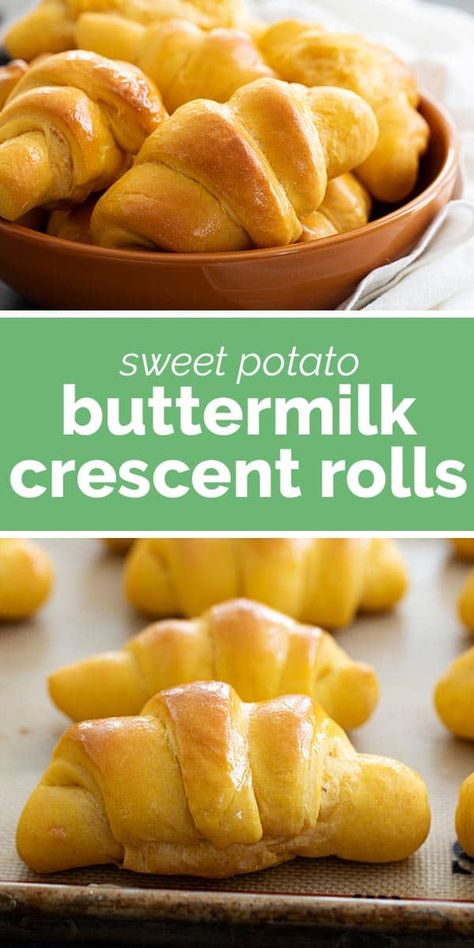 Soft and fluffy and slightly sweet, these Sweet Potato Buttermilk Crescent Rolls are perfect for a holiday. These homemade crescent rolls are so much better than store bought! #homemederolls #crescentrolls #recipe #holidayrecipe Leftover Buttermilk, Banana Pudding Trifle, Homemade Crescent Rolls, Lemon Cupcake, Holiday Sides, Buttermilk Recipes, Crescent Roll Recipes, Sweet Rolls, Cupcake Recipe