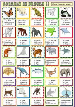 Endangered animals multiple choice activity Endangered Animals Activities, Animal Printables, Animal Flashcards, Animal Worksheets, Fun Worksheets, English Activities, Animal Activities, Extinct Animals, Endangered Animals