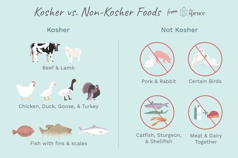 Kosher Food 101: the Basics of Which Foods Are Kosher Kosher Food List, Matzah Ball Soup, Bible Food, Hippie Commune, Kosher Diet, Kosher Kitchen, Kosher Food, Manic Pixie, Kitchen Rules